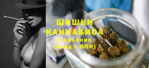 амф Зеленодольск