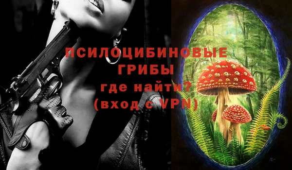 амф Зеленодольск