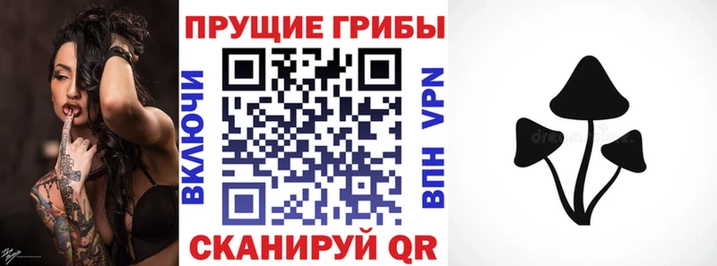 Галлюциногенные грибы GOLDEN TEACHER  Купить где  Гулькевичи 